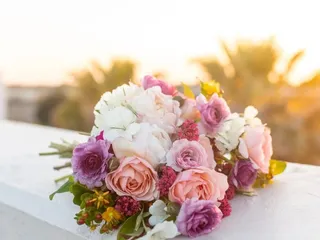 Pop & Bloom
