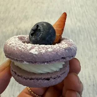 a hand holding a blueberry macaron
