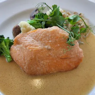 New Zealand Salmon