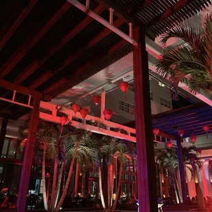 red lanterns and palm trees