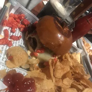 Hot and Spicy Burger