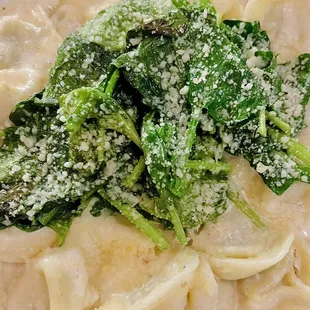 Tortellini with cream sauce and spinach