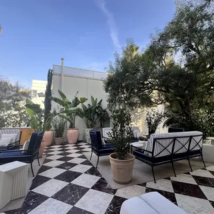 Plants, drinks and a a good book to read.