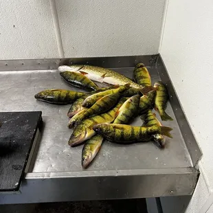 A little better showing from Friday June 7