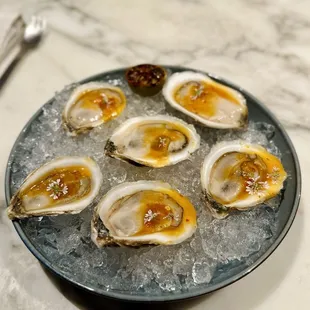 PEI oysters with kumquat mignonette - amazing
