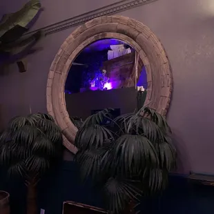 a mirror and palm trees