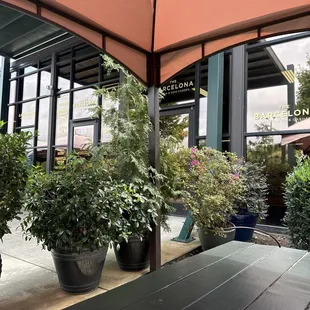 Outdoor seating in fall is amazing!