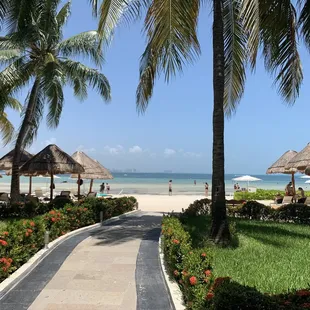 A beautiful walkway to the beach of Dreams Sands Cancún