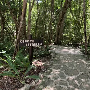 An underground cenote for snorkeling in Riviera Maya Mexico.