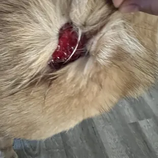 Bite