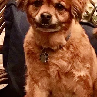 Coco C.