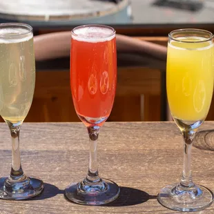 Mimosa Flights