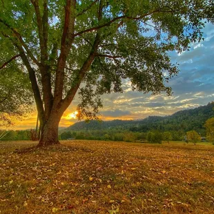 One of the reasons people return here is the view!