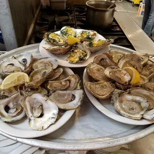 Oysters