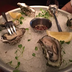 Oysters