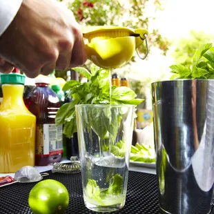 &quot;Fresh&quot; bartender services
