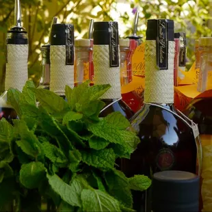 12 year aged Trinidad Rum