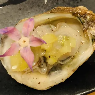 Panacea Pearls