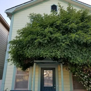 Looking forward to seeing you again Barlett Inn.  Definitely going back and fishing the Delta.