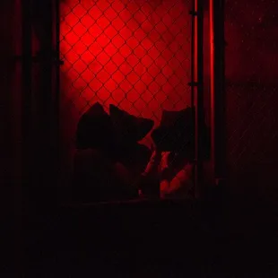 Guests being led into the Basement.