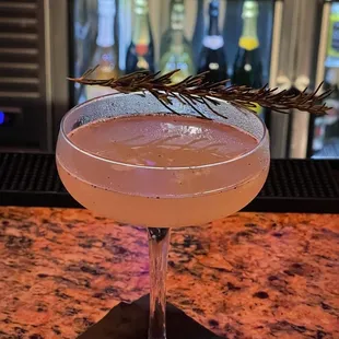 a cocktail in a coupe glass