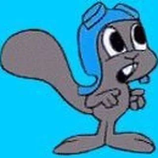Rocky C.