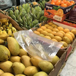 Mango and papaya