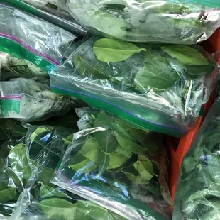 Lime leaves