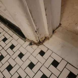 Noticeable damage and remnants of bacteria build up.