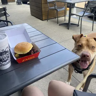 Brisket Sandwich