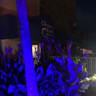 Entrance on the right side of hotel just before the coast.