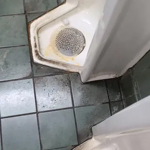 Men&apos;s room - trainspotting nightmare!
