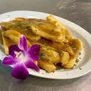Gravy fries