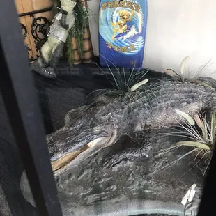 a surfboard on a rock