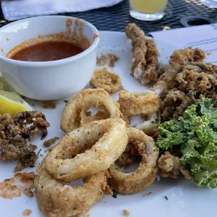 Half eaten excellent calamari
