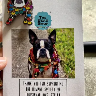 Cutie pin at the register to benefit the humane society! ($10)