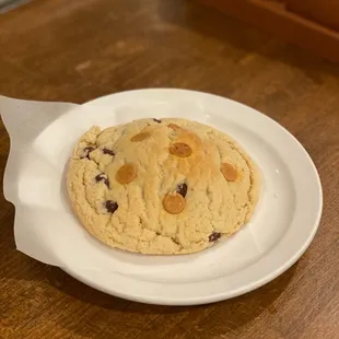 Peanut butter chocolate chip cookie