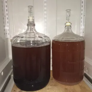 A couple homebrews fermenting with equipment from the bearded Brewer