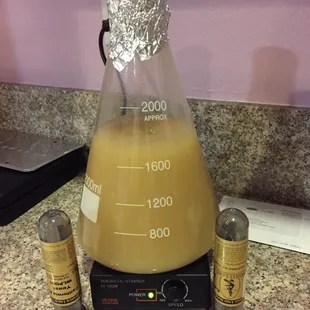 Your kitchen won't be safe either.... But you will have lots of beer!