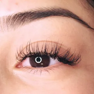 Classic Lash extensions | D Curl |