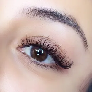 Classic lash extensions | D Curl 9-13mm | By Maria