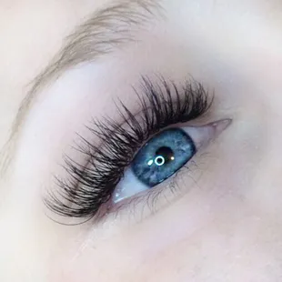 Classic D Curl lash extensions