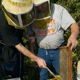 a man and a woman inspecting a beehive