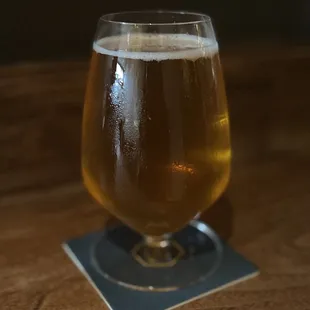 Kolsch ($8)