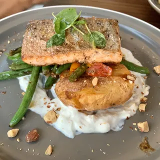 Salmon