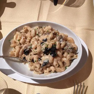 Truffle Mac