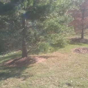 beautiful view from my apartmnt