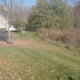 beautiful grounds