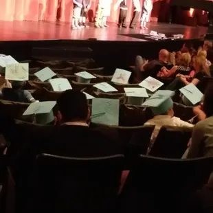 Graduation Season!  These graduates are about 4 years old.