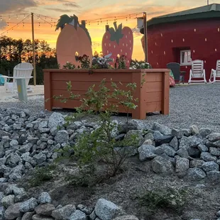 Evening is always my favorite time to relax at The Berry Patch.